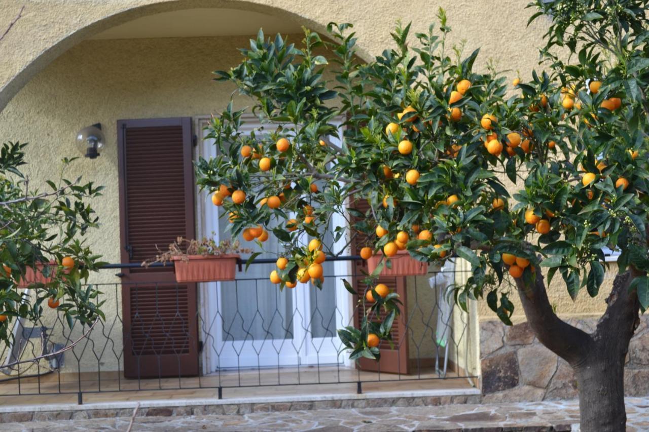 Etesia Bed & Breakfast Olbia Bagian luar foto