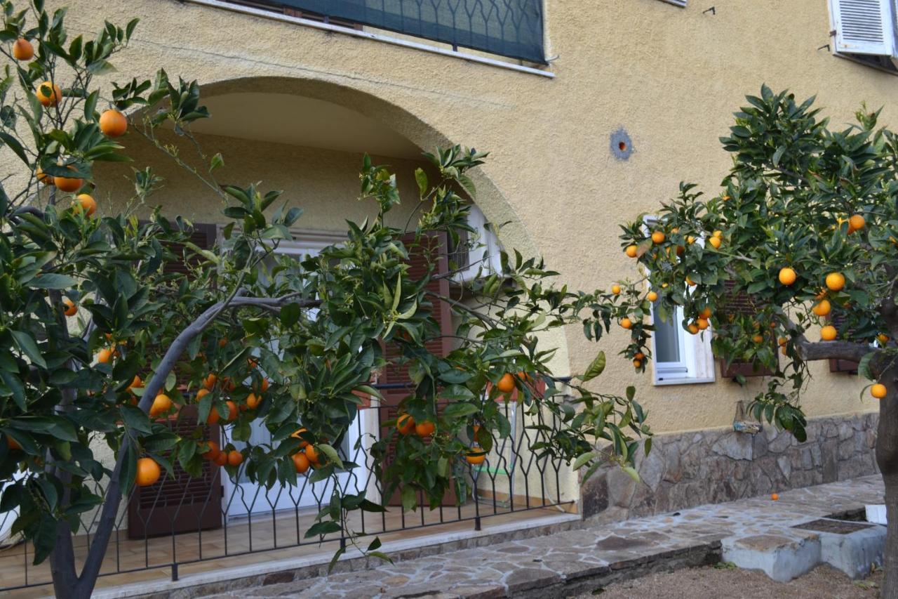 Etesia Bed & Breakfast Olbia Bagian luar foto