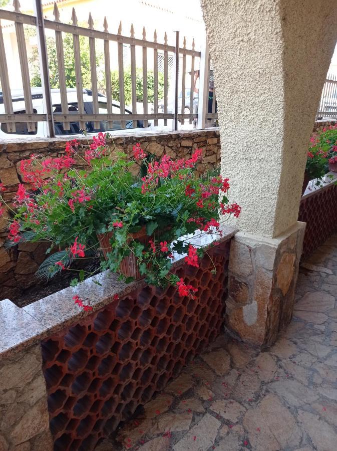 Etesia Bed & Breakfast Olbia Bagian luar foto